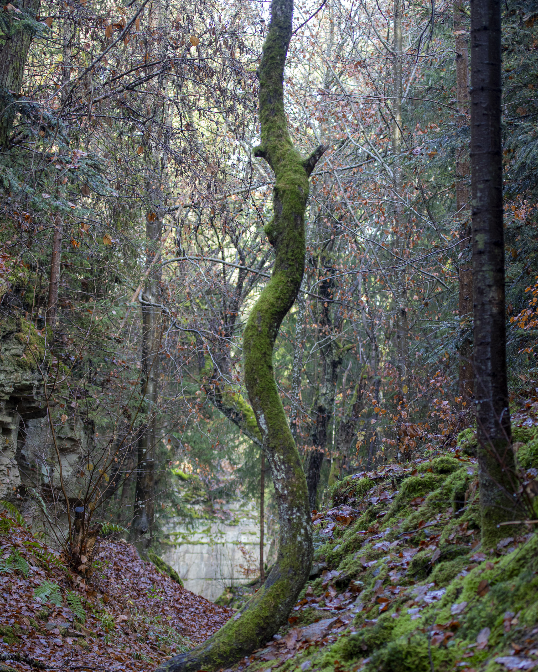 20251129122344 RD4 0841